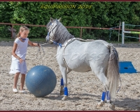1-13JUIN 0947